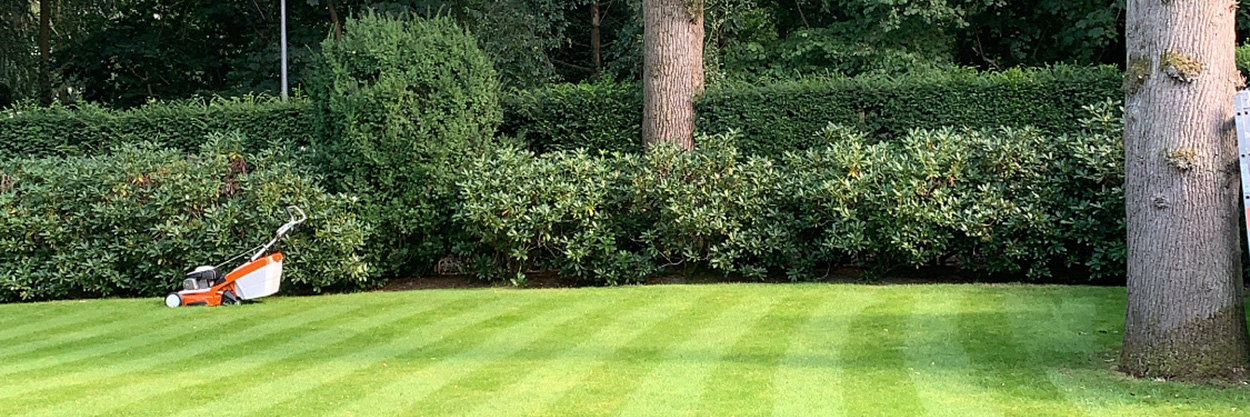 Tuinonderhoud