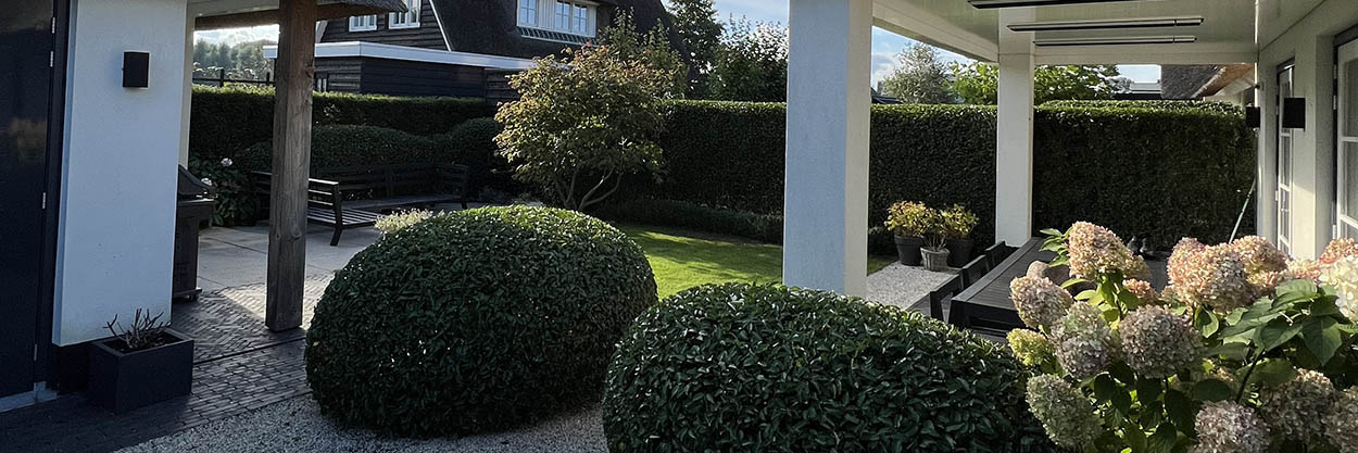 Tuin